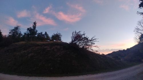 Silhouette trees by road against sky during sunset