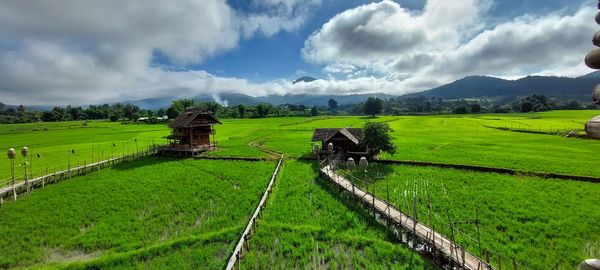 Panoramic view of agricultural field against sky