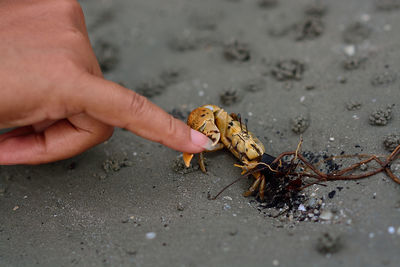 Midsection of person holding sand on beach