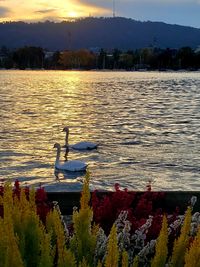 Scenic view of lake against sky during sunset