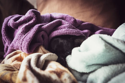 Close-up of dog sleeping on bed