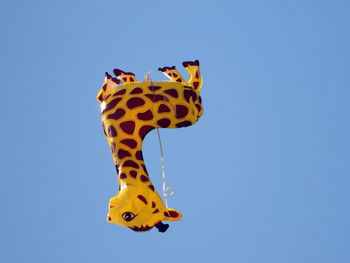 Low angle view of butterfly flying