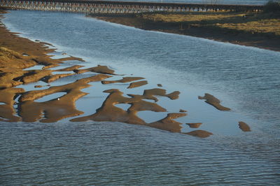 View of birds on beach