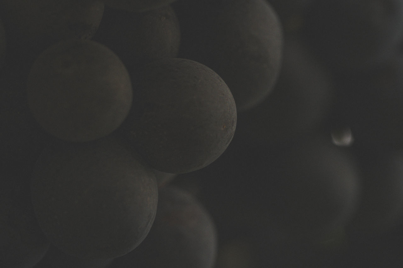 CLOSE-UP OF FRUIT AGAINST GRAY BACKGROUND