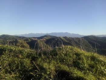 Scenic view of field against clear blue sky