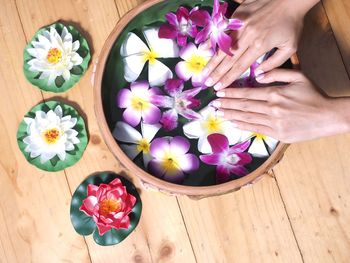 High angle view of multi colored flowers on table