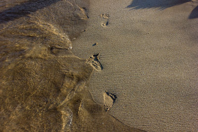 High angle view of footprints on sand at beach