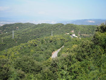 High angle view of green landscape against sky