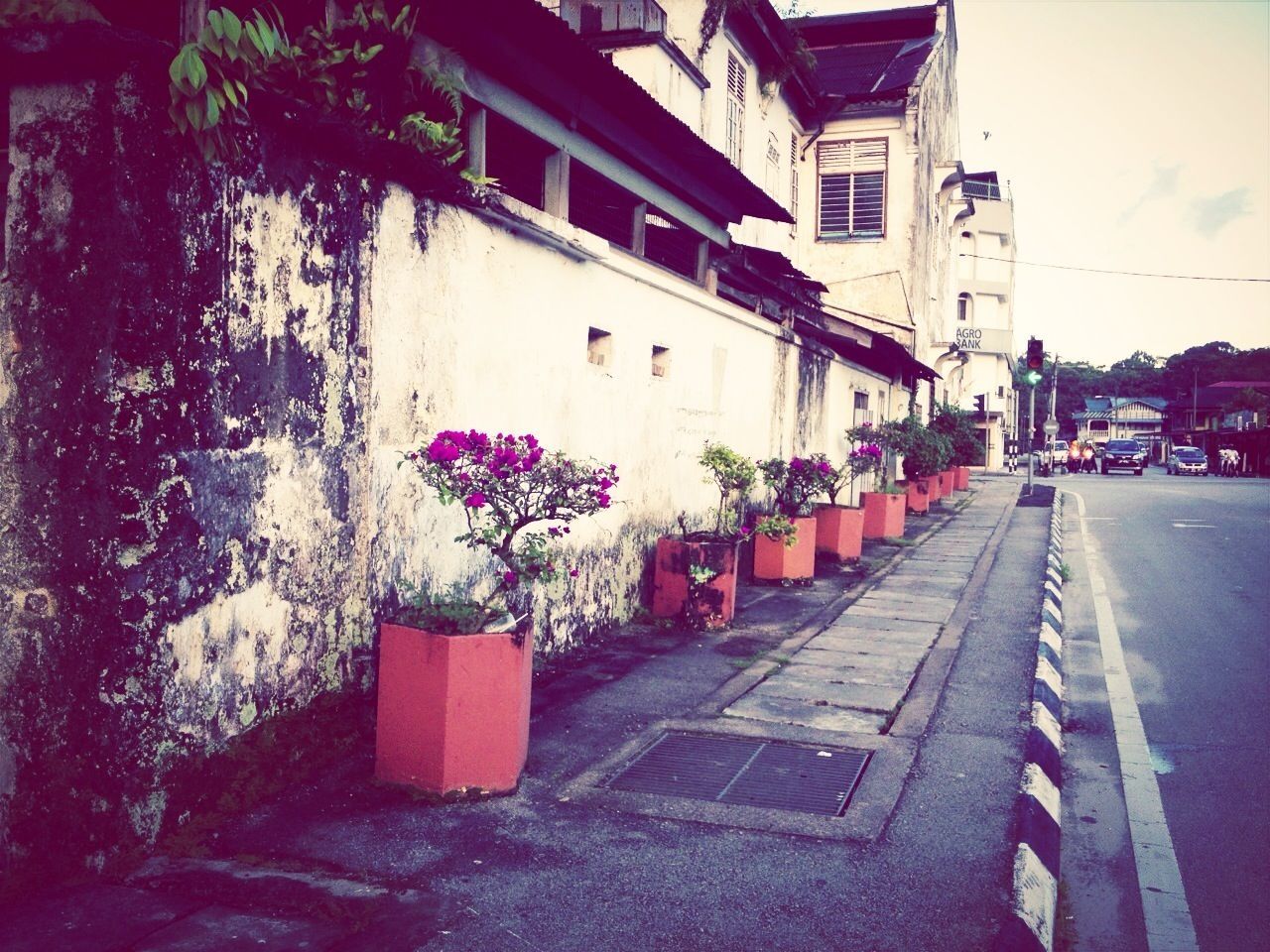 building exterior, architecture, built structure, residential structure, street, residential building, house, city, building, town, the way forward, road, outdoors, residential district, day, potted plant, alley, no people, narrow, incidental people