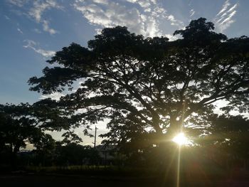 Low angle view of silhouette trees against sky during sunset