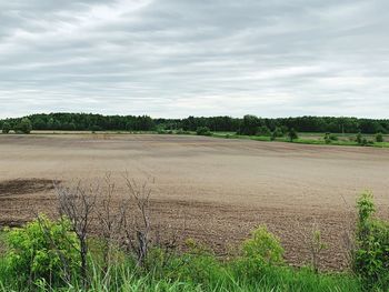 Scenic view of field against sky