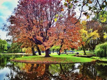 Pond in park
