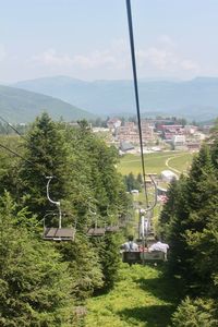 High angle view of trees and plants against sky