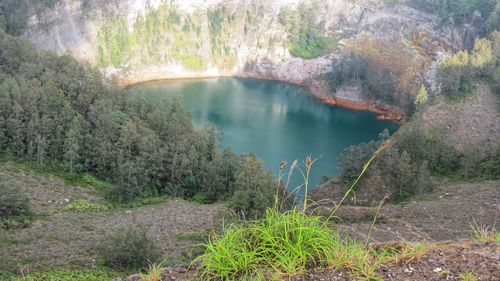 High angle view of lake amidst trees in forest