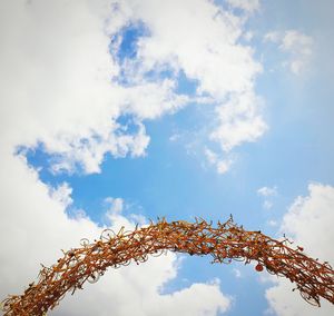 Low angle view of tree against sky