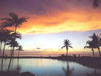 Silhouette of palm trees at sunset