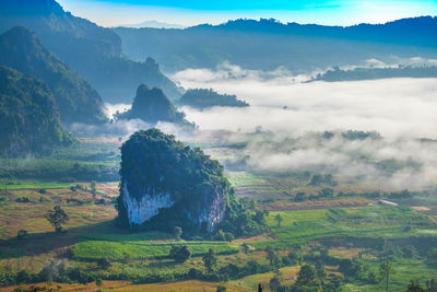 Scenic view of phu lanka during foggy weather