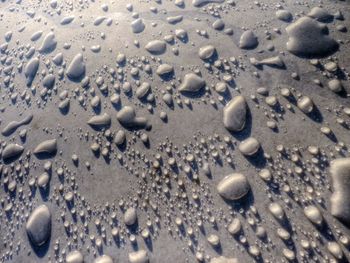 Surface level of pebbles on beach