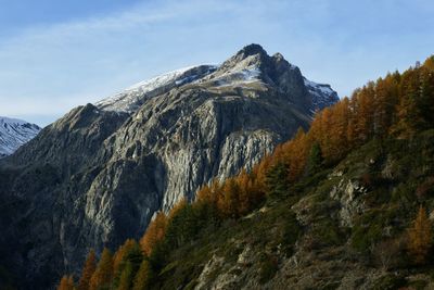 La mortice
