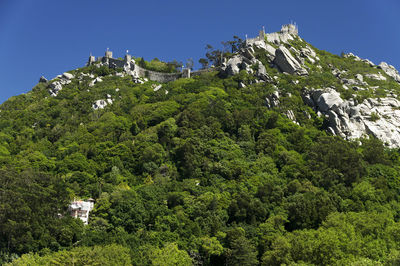 Scenic view of green mountain against clear blue sky