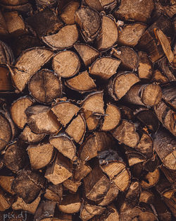 Full frame shot of logs in forest