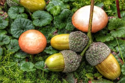 Close-up of fruits