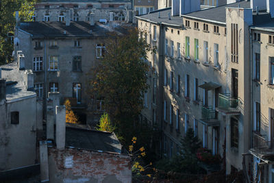 Buildings in city