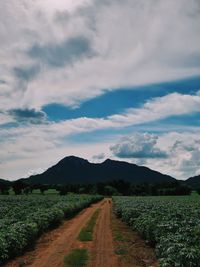 Dirt road amidst field against sky