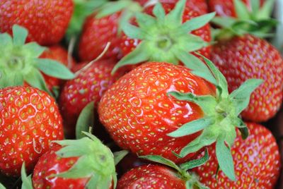 Close-up of strawberries