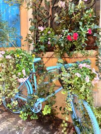 Potted plants against building wall