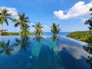 Palm trees by swimming pool against sky