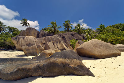 Rocks on shore against sky