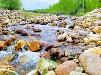 Surface level of rocks by stream