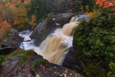 Scenic view of waterfall in forest