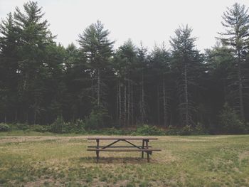 Empty bench on grassy field