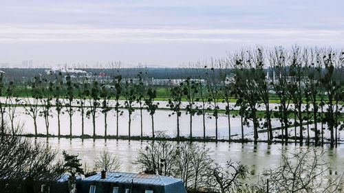 Scenic view of lake against sky