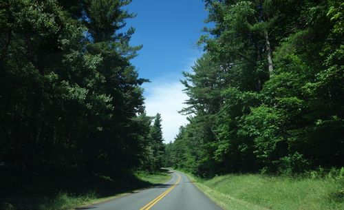 Empty road amidst trees against sky