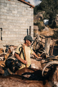 Male goat herder with walking cane standing amidst goat