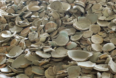 Full frame shot of shells