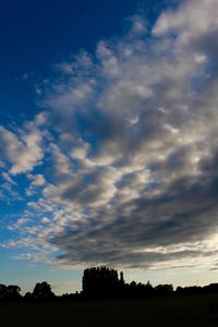 Silhouette of trees on field against cloudy sky