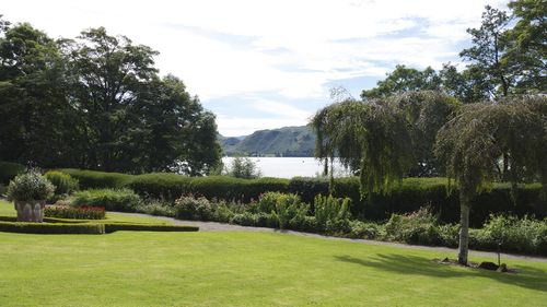 Scenic view of green landscape and trees against sky