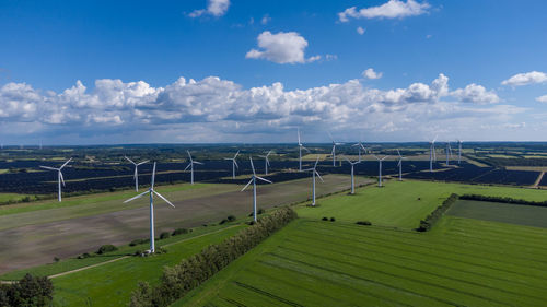 Northern europes largest solar park near holstebro in denmark