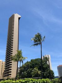 Low angle view of coconut palm trees against sky