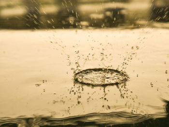 Close-up of splashing water