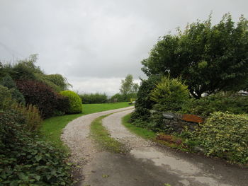 Road amidst trees against sky