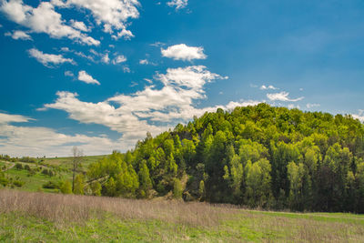 Trees on field against sky