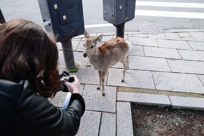 Full length of woman photographing