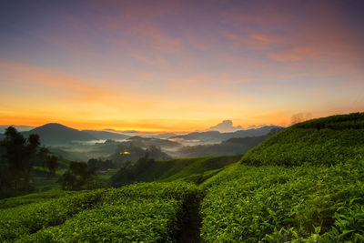 Scenic view of landscape against sky during sunset