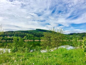 Scenic view of field by lake against sky