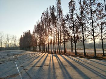 Road amidst trees against clear sky during sunset